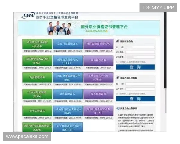 在PA厅官网进行个人信息查询与业务办理，节省宝贵时间快速完成申请