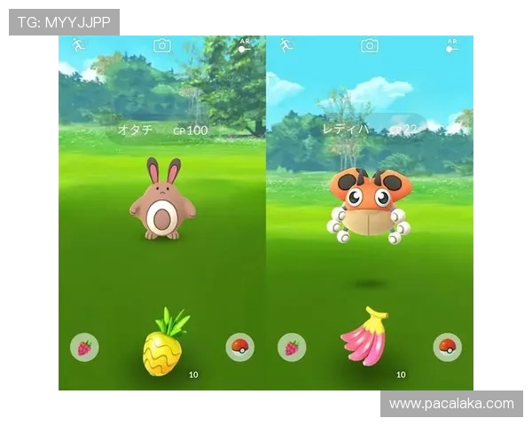 掌握AG旗舰厅会员登录技巧，确保每次登录都能顺利进入游戏世界