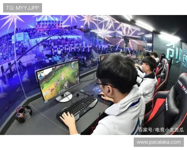 浅谈PA电子竞技对年轻人文化的影响与引导