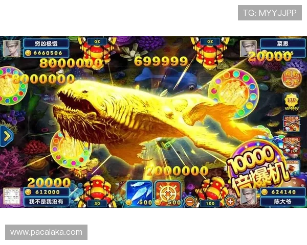 畅玩PA现金电玩的技巧与策略：提升你的赢率和乐趣