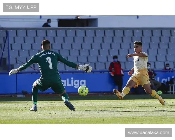 西甲AG官网助力球迷全面了解比赛实况与战绩分析