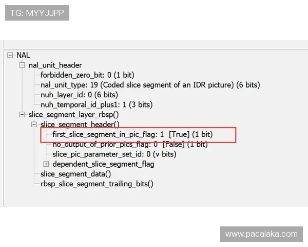 轻松注册ag zhenren真人平台的详细步骤及常见问题解答