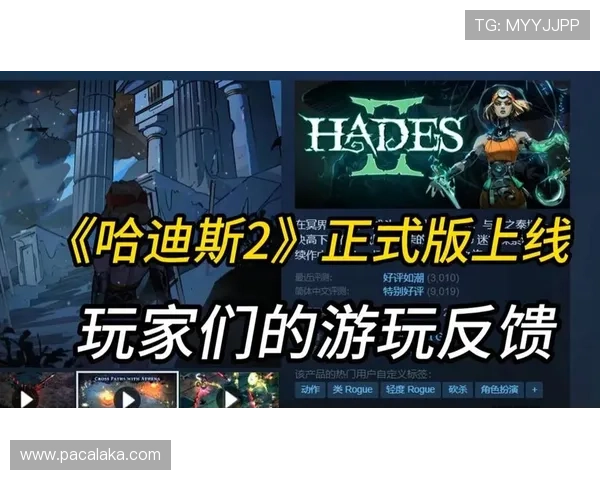 分析uinbet真人国际平台的游戏种类与玩法特色满足不同玩家的多样化需求